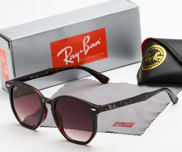 Ray Ban Boutique Sunglasses 006